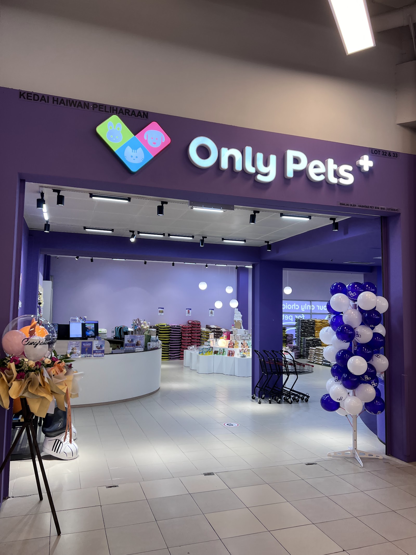 Felis CATus Shop 4