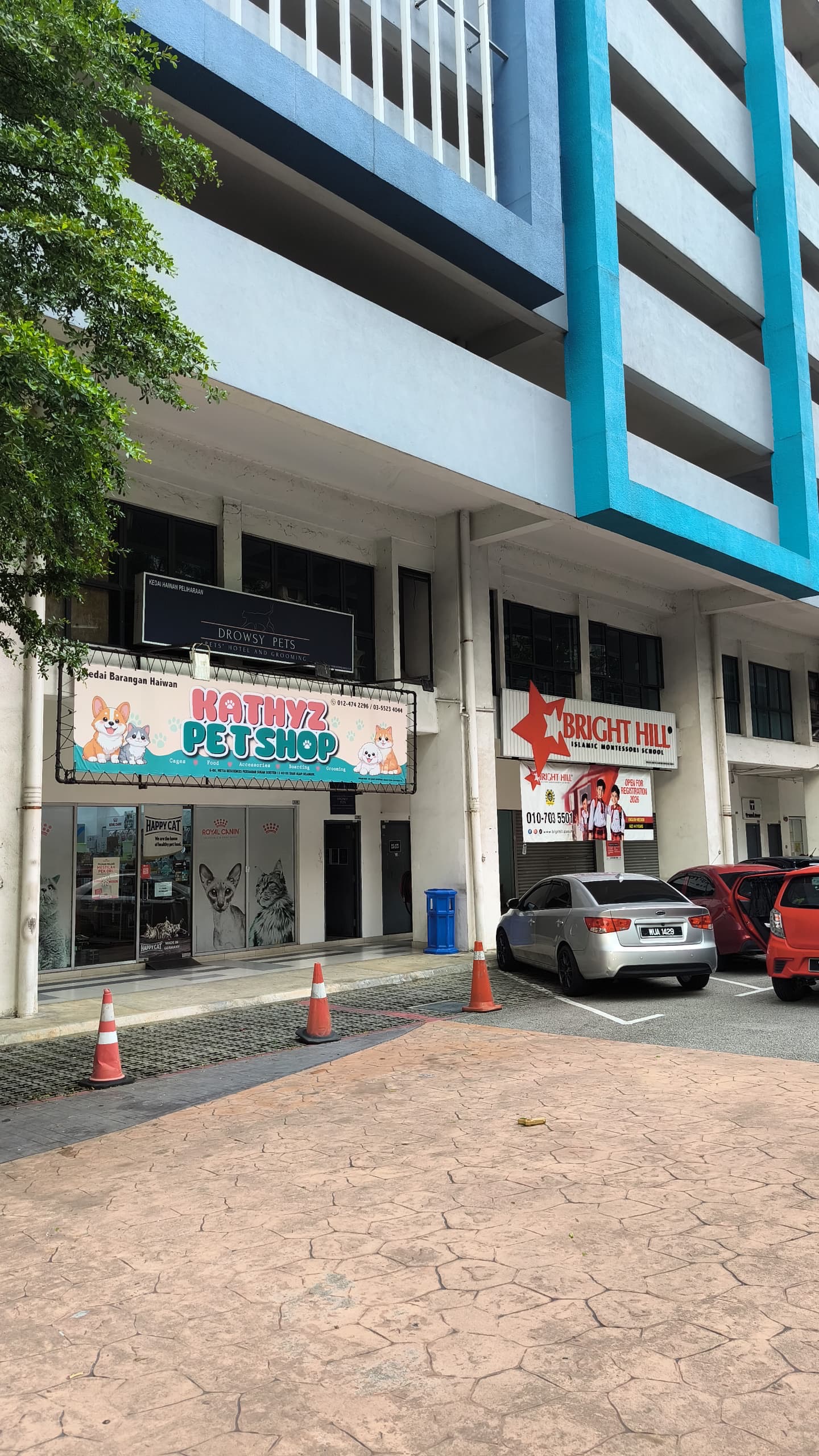 Felis CATus Shop 6